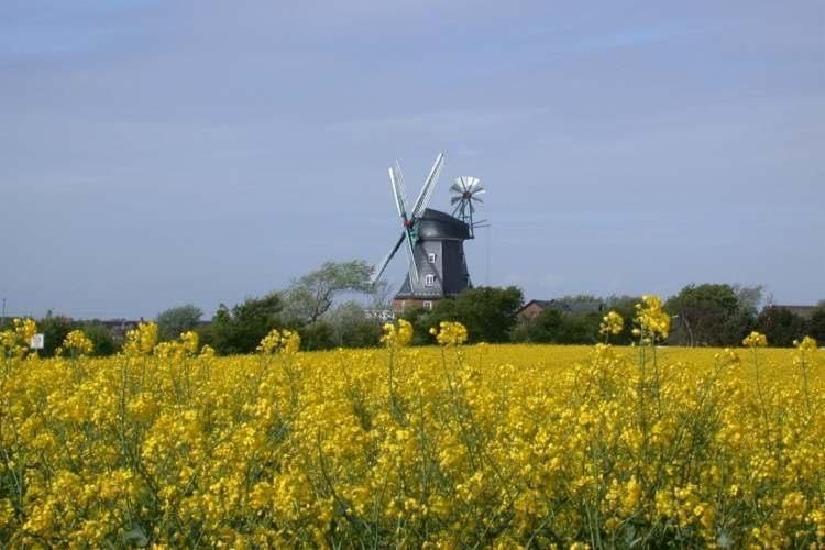 Inselzauber Wyk auf Föhr Exterior foto